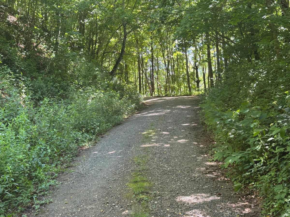 Barnett Creek - FS 6236 photo 2