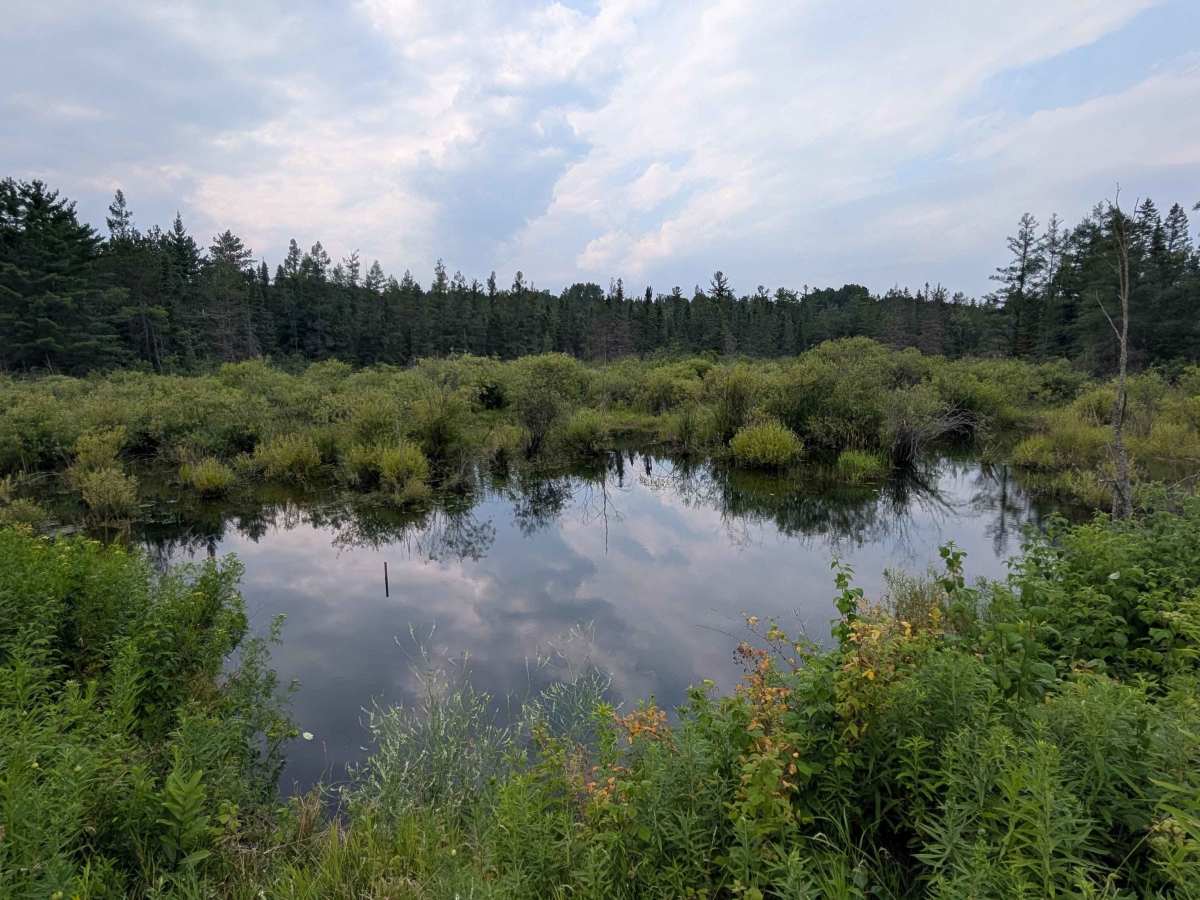 Body Road trail photo