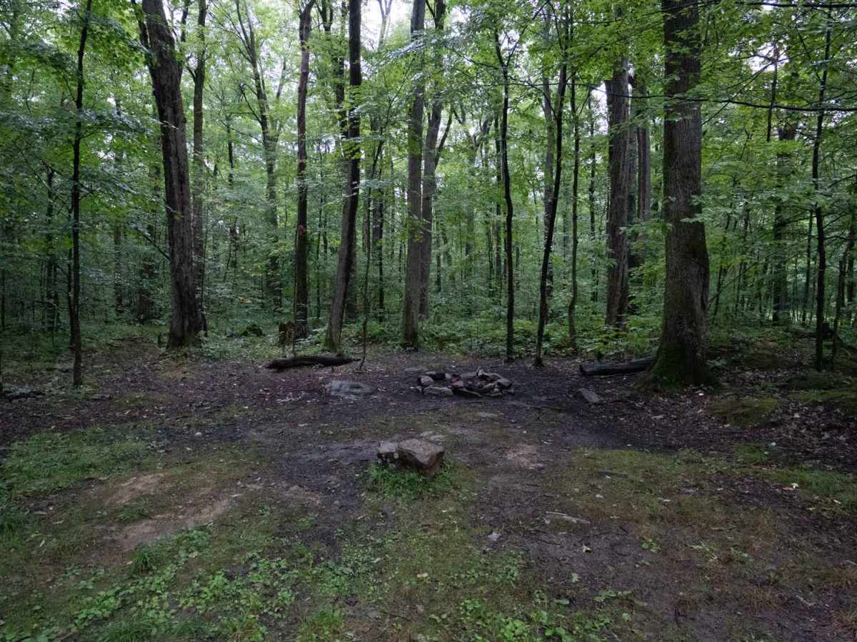 Eckert Road photo 5