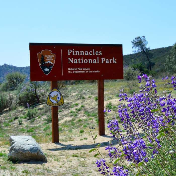 Near Moses Springs Trail