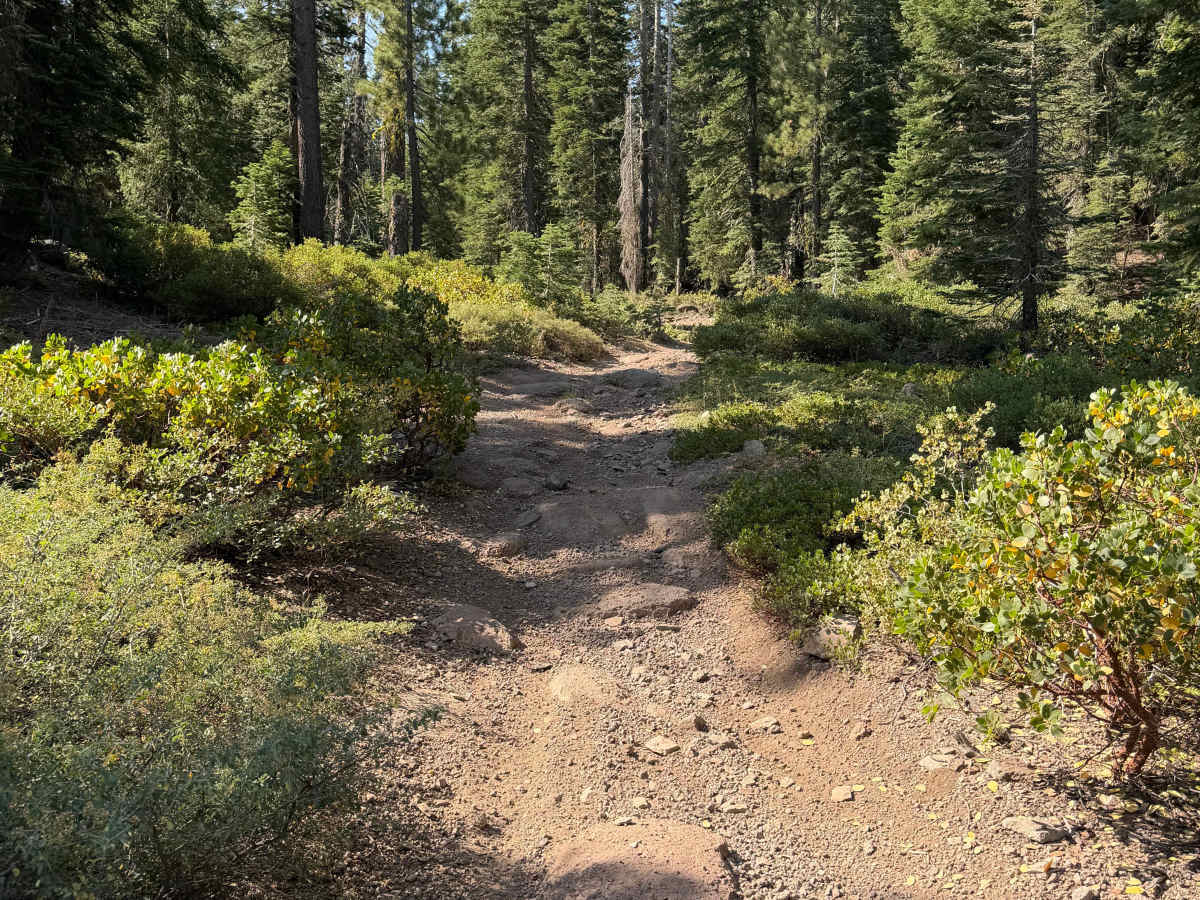 Cena Lar Trail trail photo