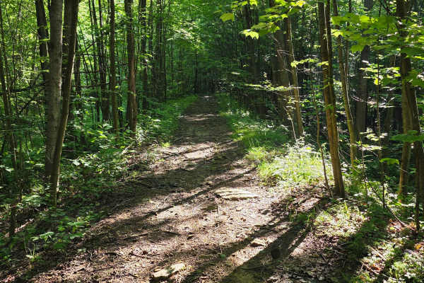 Single Track C3