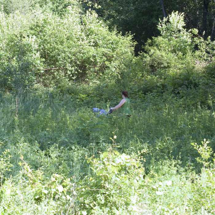 Enjoying the trails during a lush summer. Near Quaking Bog Loop