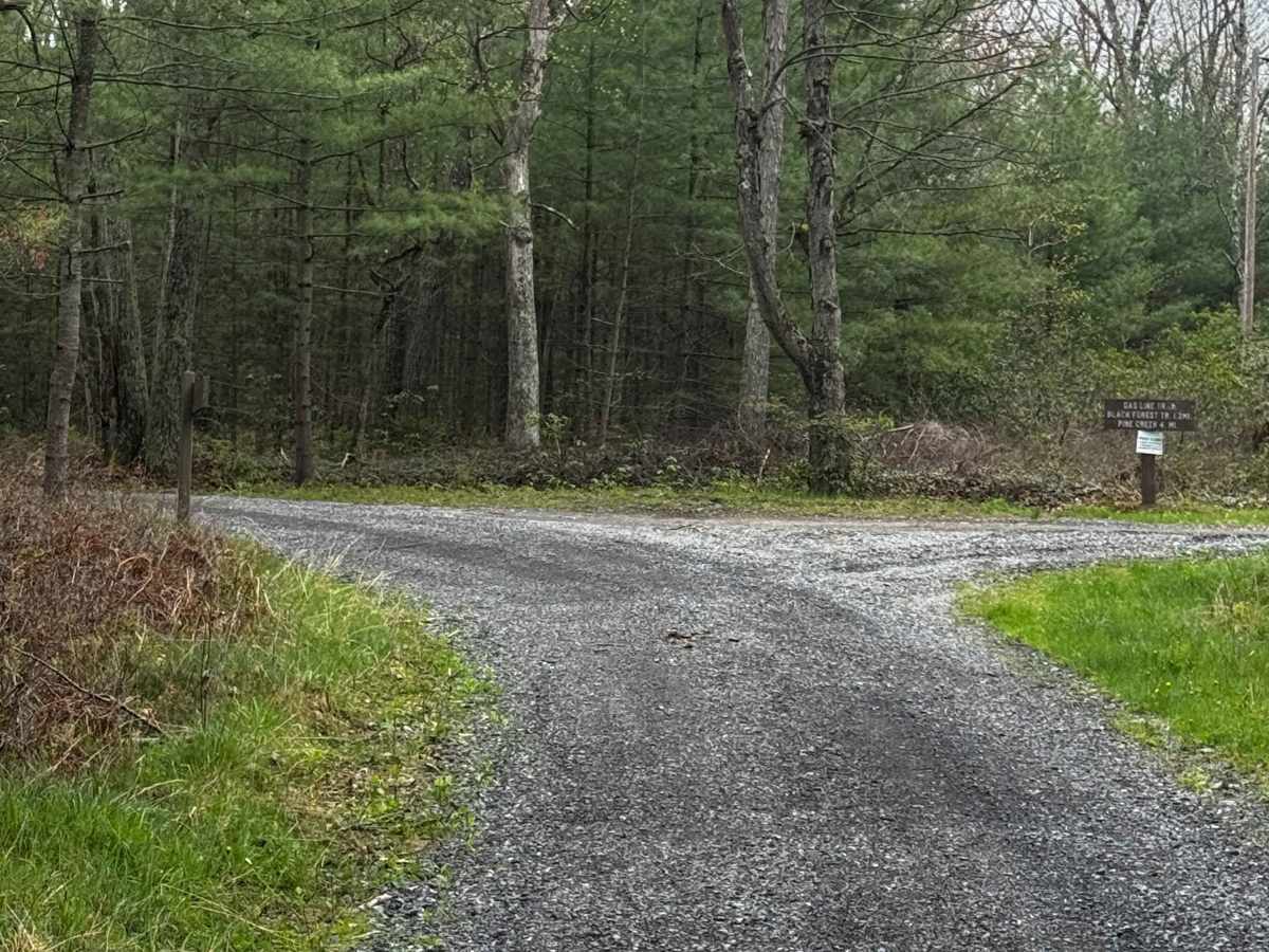 Manor Fork Road photo 3