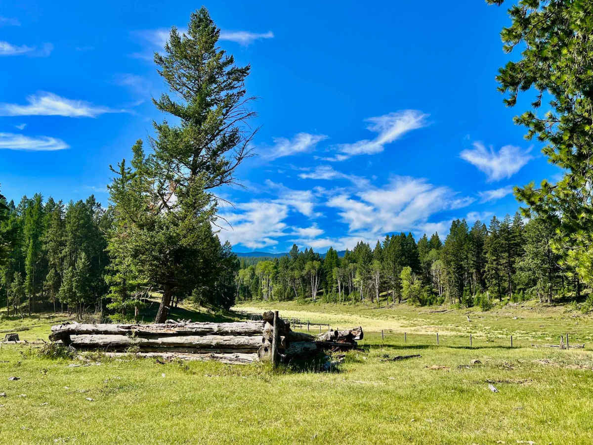 Old Homestead trail photo