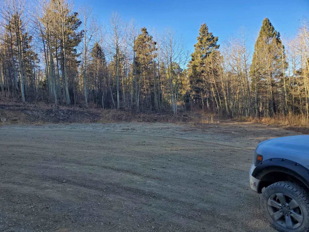 Osha Pass/70b photo 6