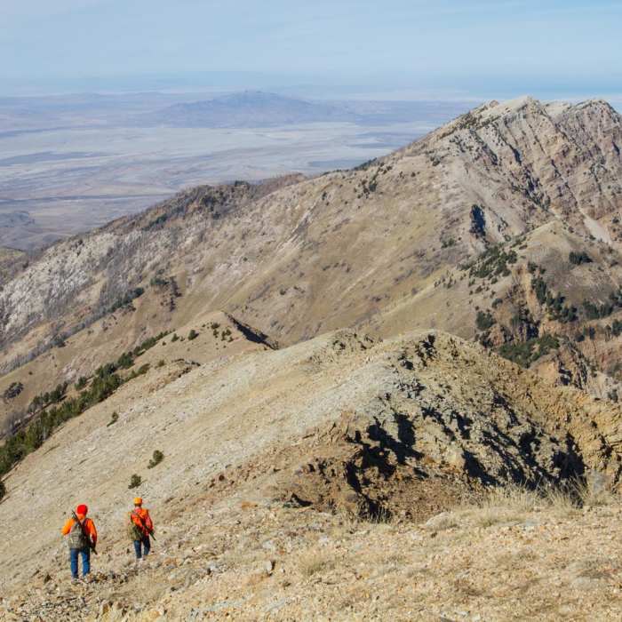 Near Deseret Peak Hike Near Deseret Peak Hike