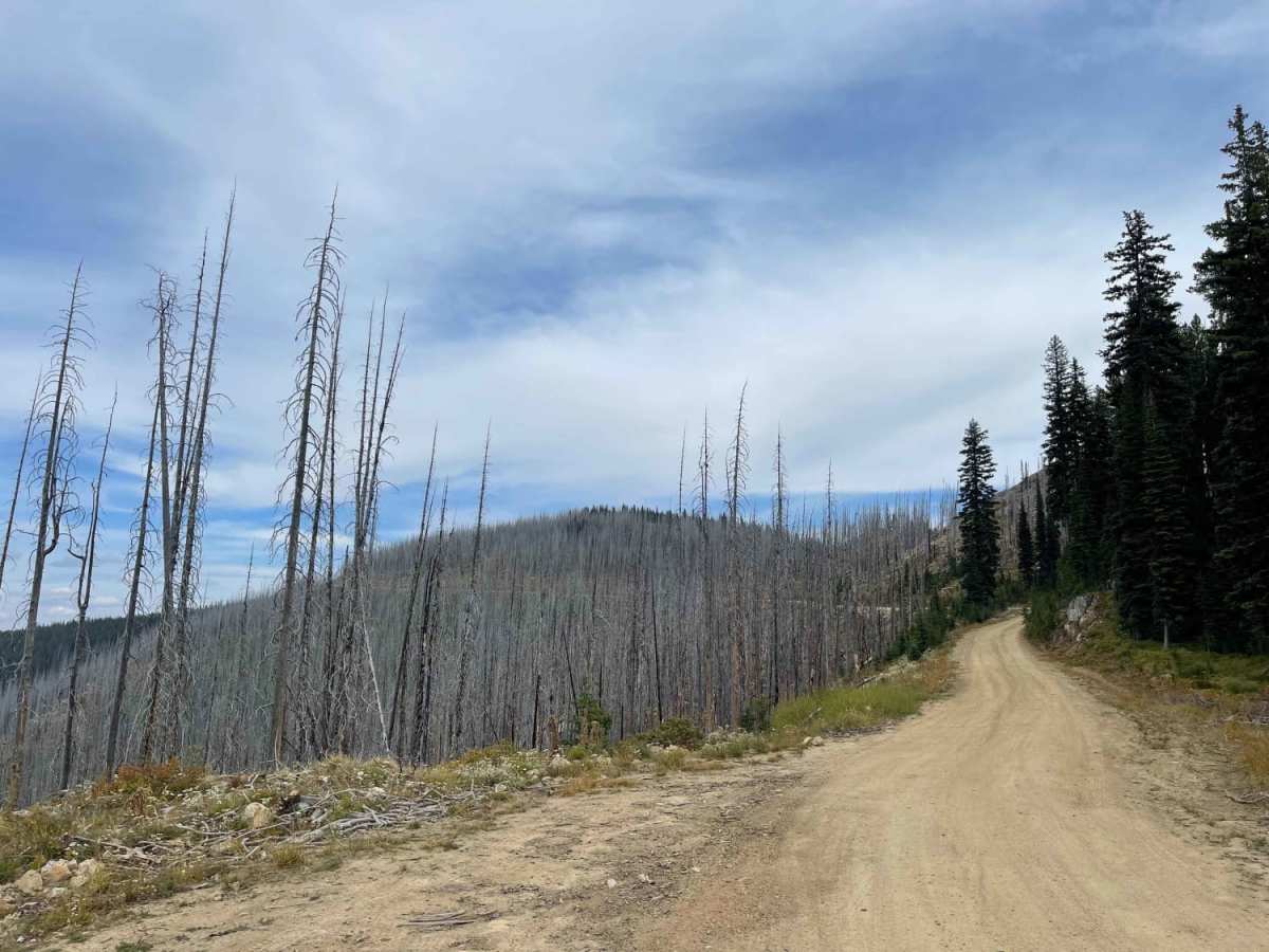Willow Mountain to Burnt Fork Lake Hiking trail photo 5