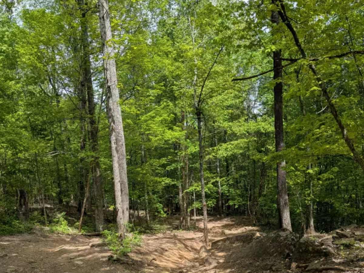 George Winters Trail (GWT) trail photo