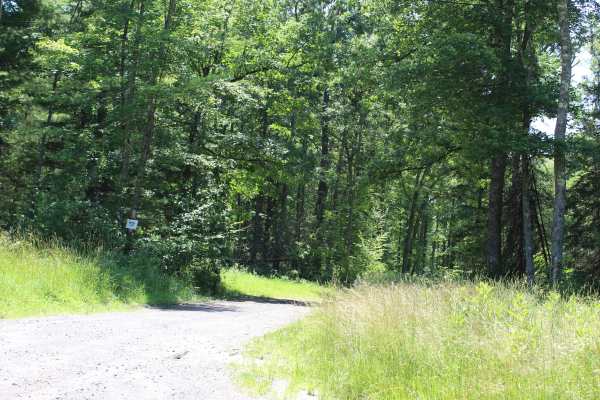 Log Road