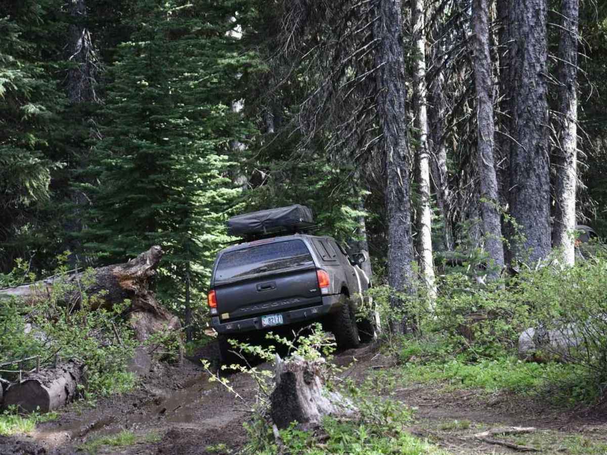 Bethel Ridge Central - NF 325a 4WD photo 5