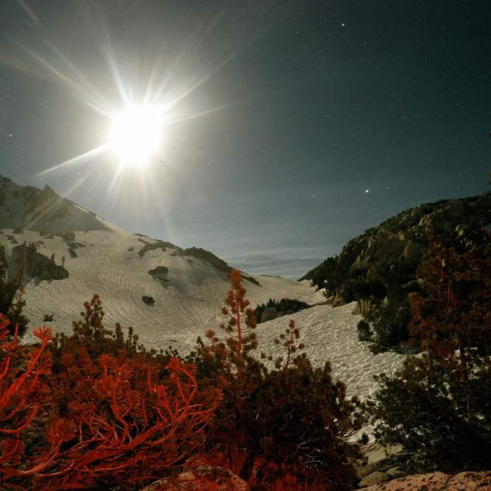 Near Goodale Pass Trail #28E20