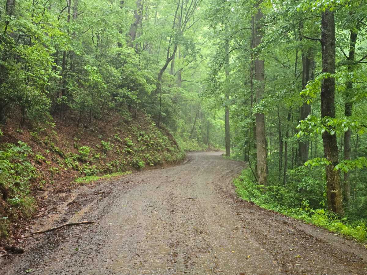 Burrell Mountain (State Road 1325) photo 5