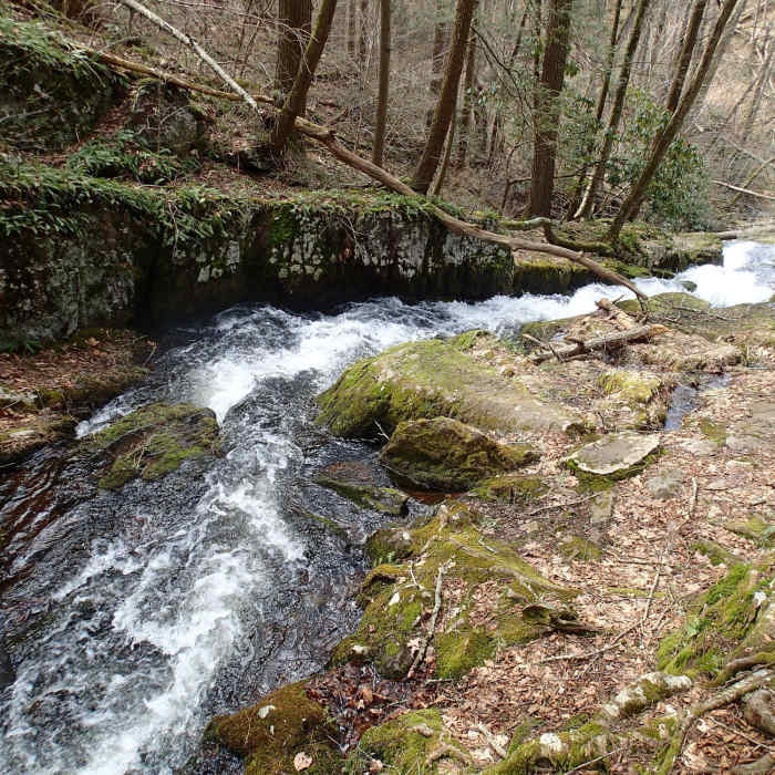 Near Tillman Ravine Trail