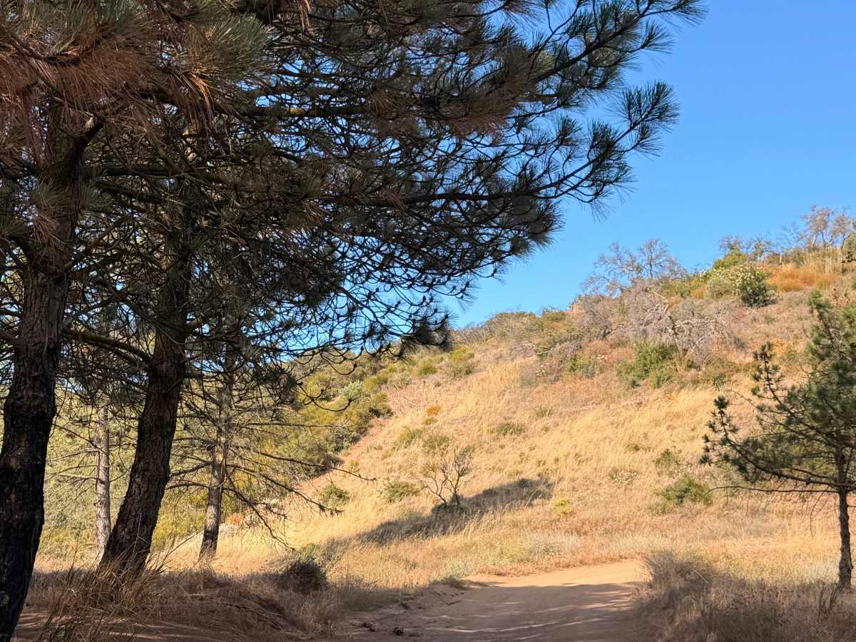 Maple Spring Road photo 5