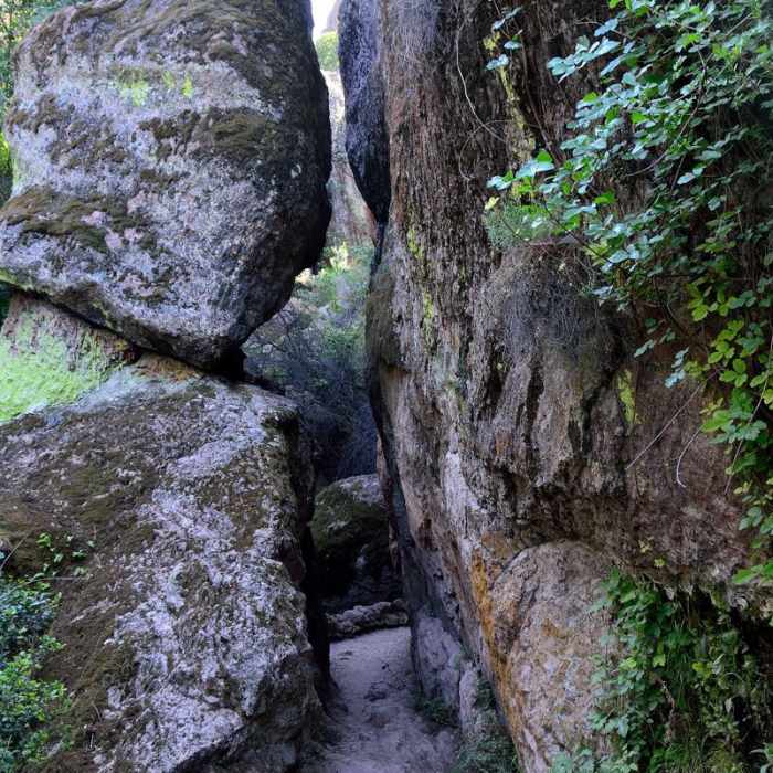Near Moses Springs Trail