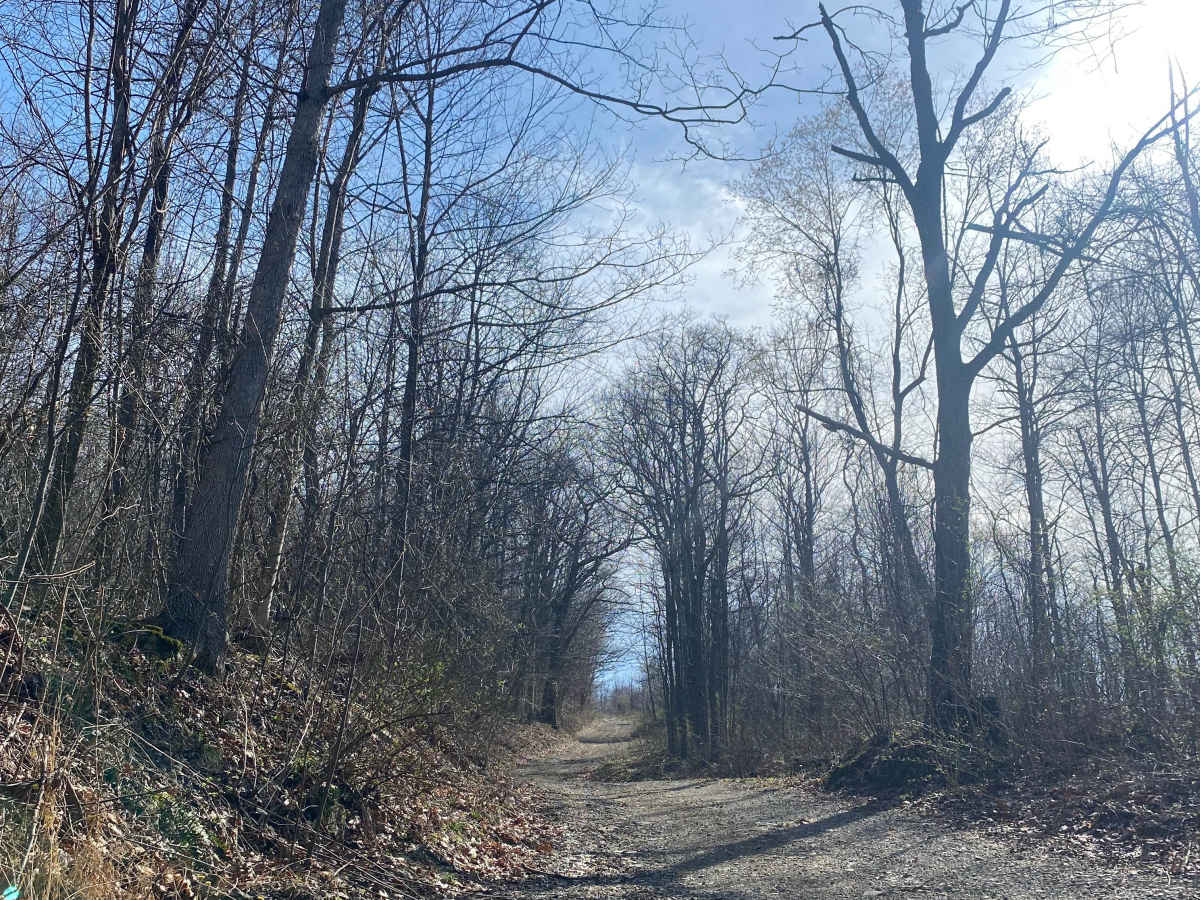 Middle Fork Road photo 4