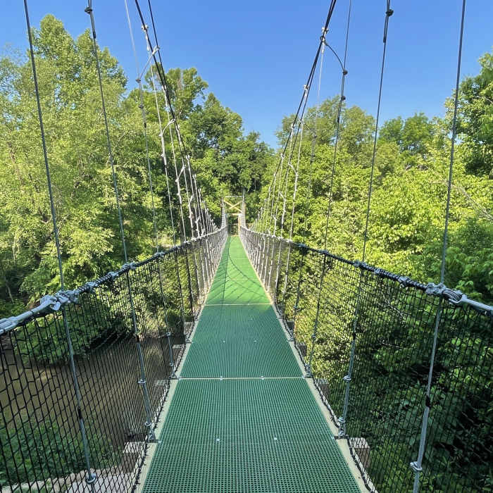 Near First Broad River Trail