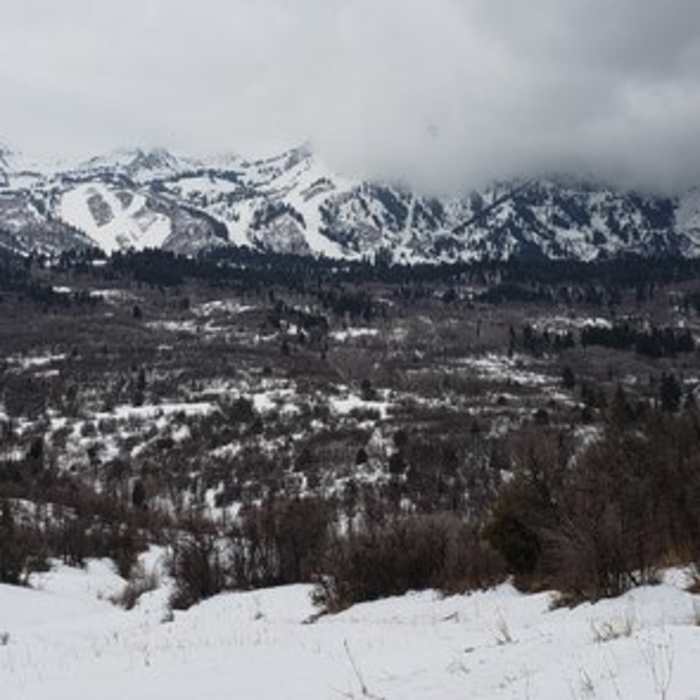 Near Middle Fork to Wheeler Creek to East Fork Loop