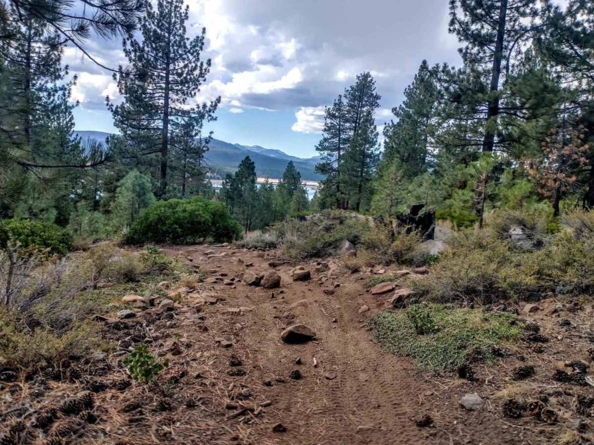 Lloyds trail photo