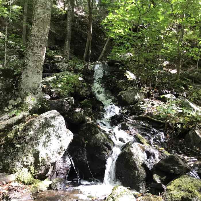 Near Cheshire Rail Trail