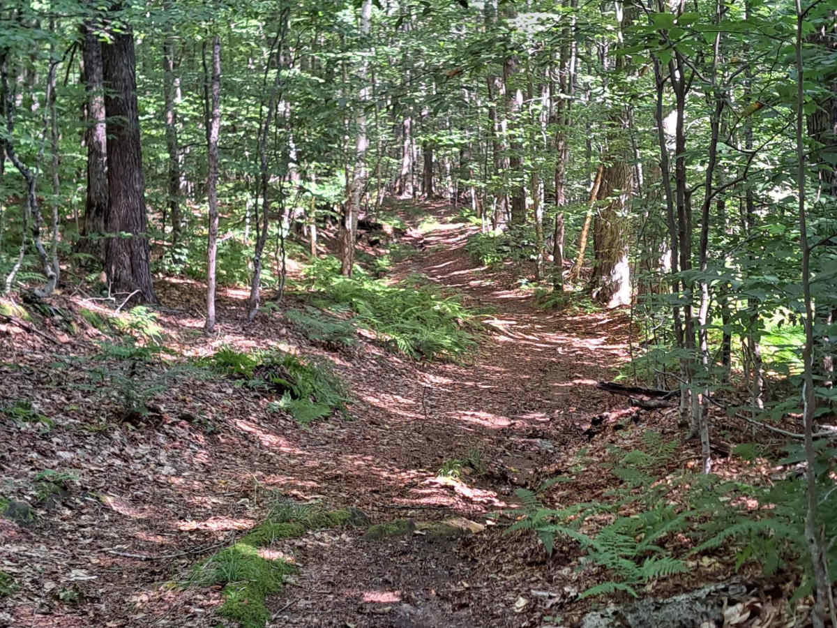 Upper Turnpike Road photo 6