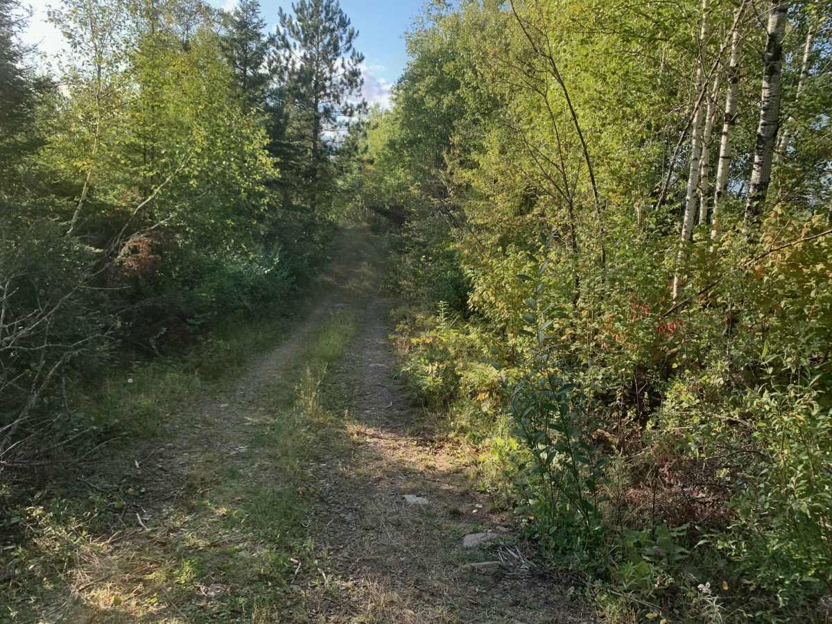 Frank Lake South Trail - FS 1885A photo 2