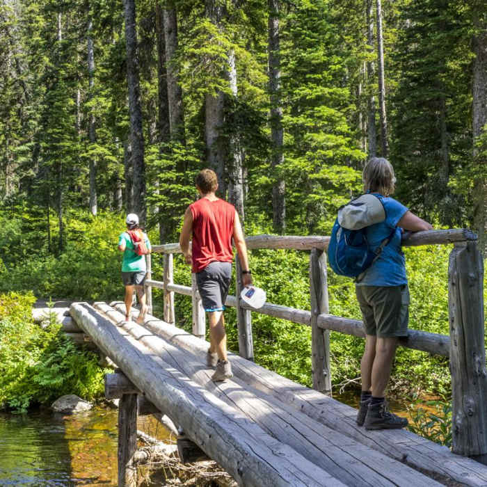 Near Two Medicine Lake Loop Hike