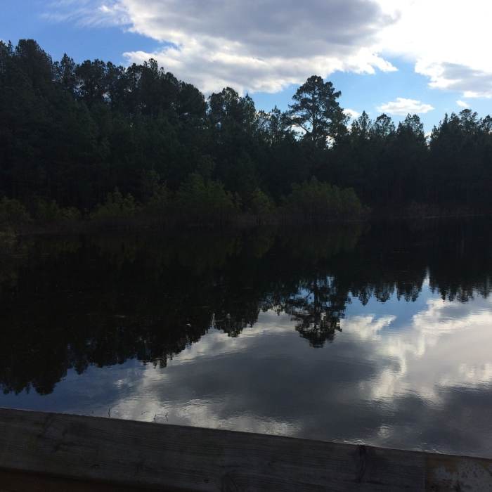 Near Anderson Creek County Park