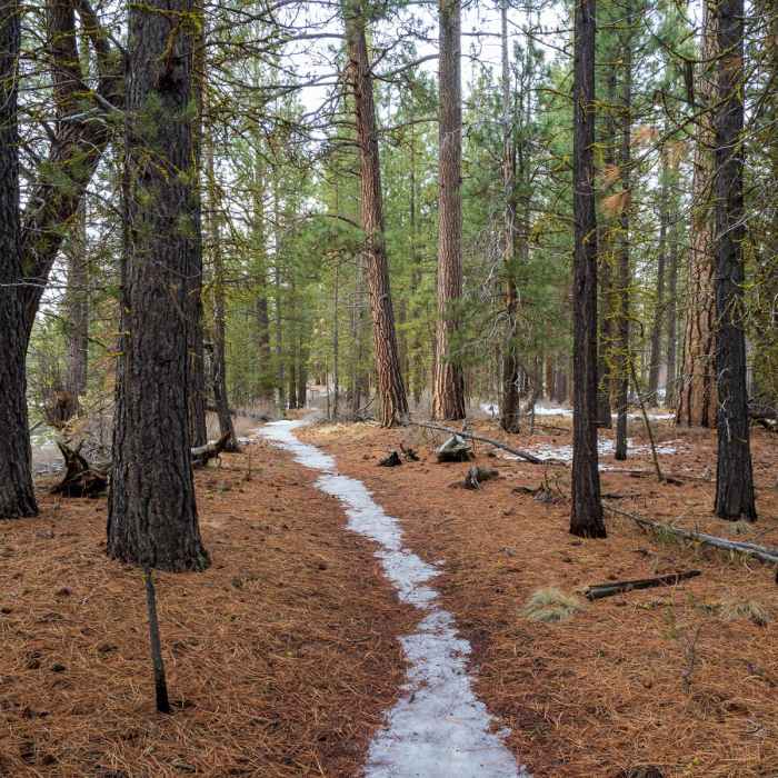 Near Deschutes River Loop