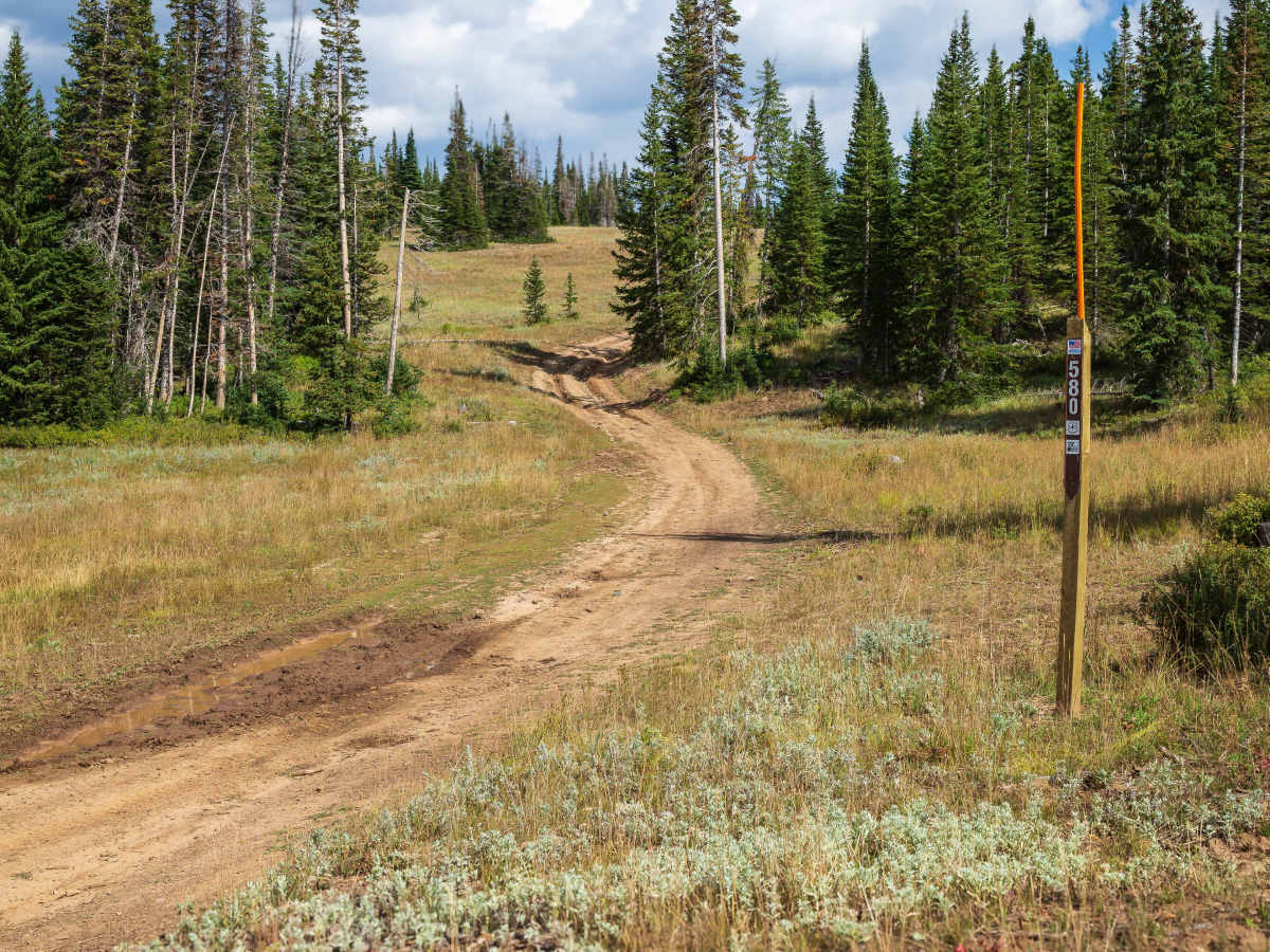 Mill Fork - FS 70580/10318 photo 3