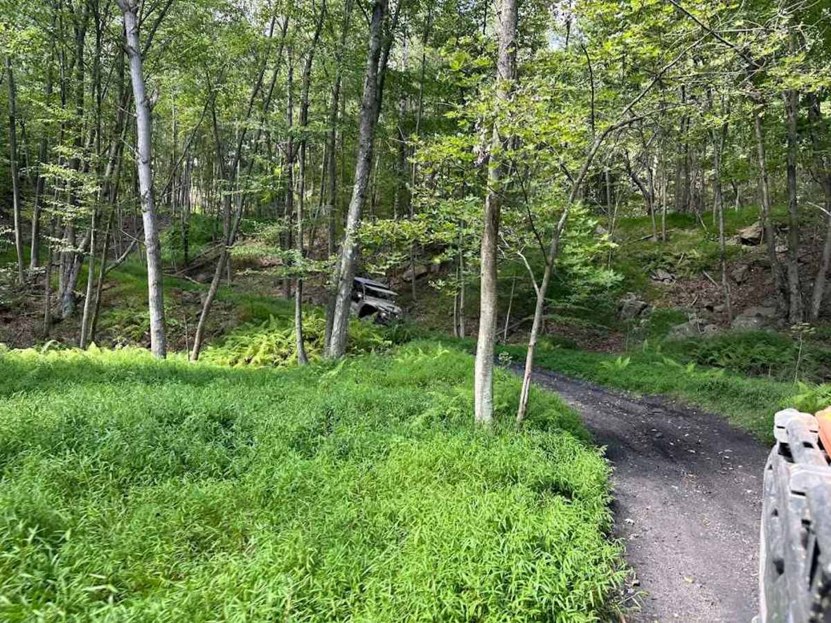 ATV Trail 81 photo 3