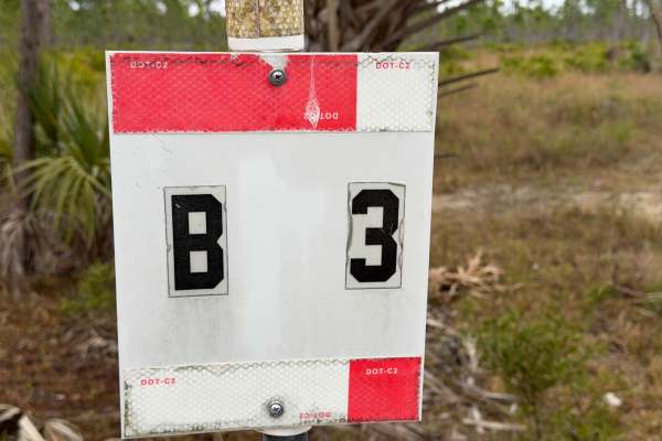 B3
