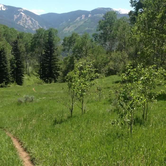 Near Buck Creek