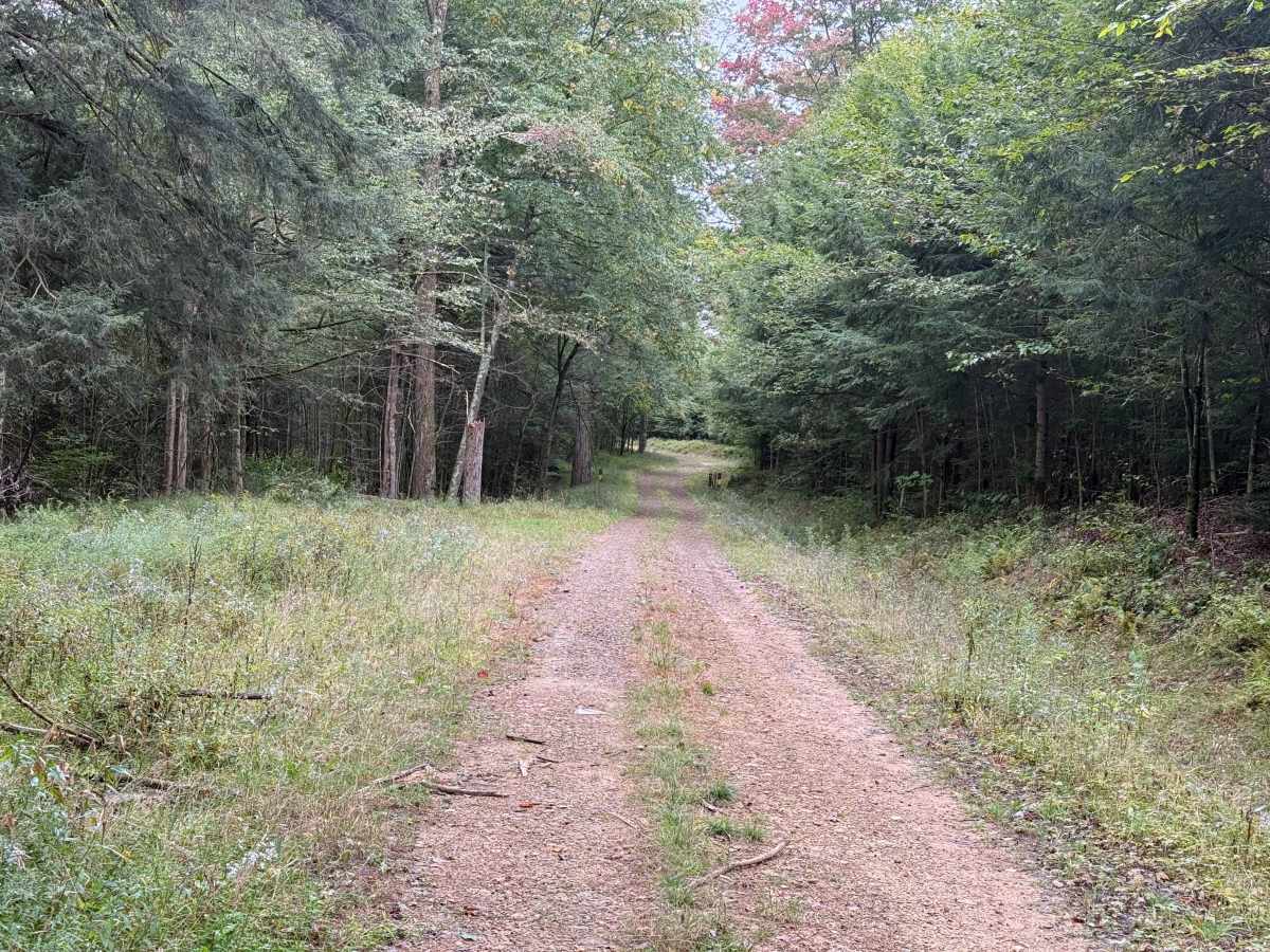 North Branch - FS 293 photo 3