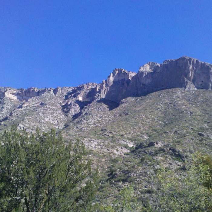 Near McKittrick Canyon Trail