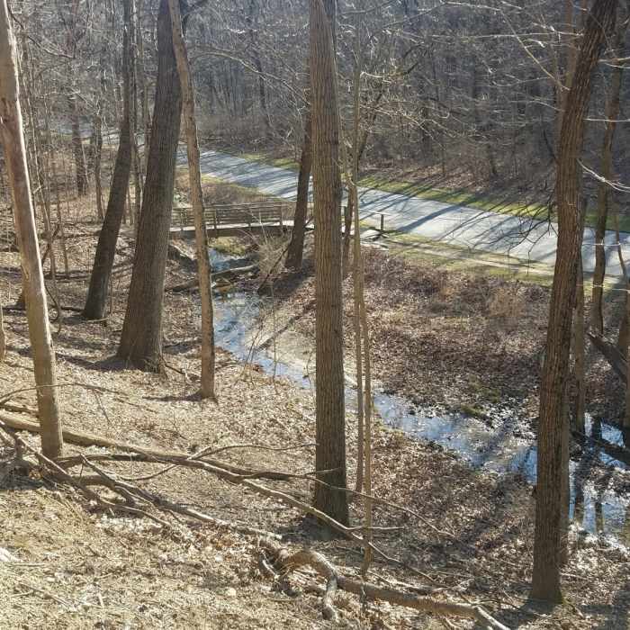 Near Schoen Creek Trail
