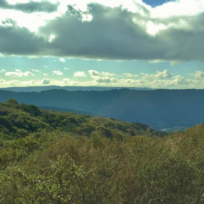 Near Kennedy Trail