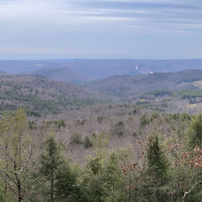 Near Ridge Trail