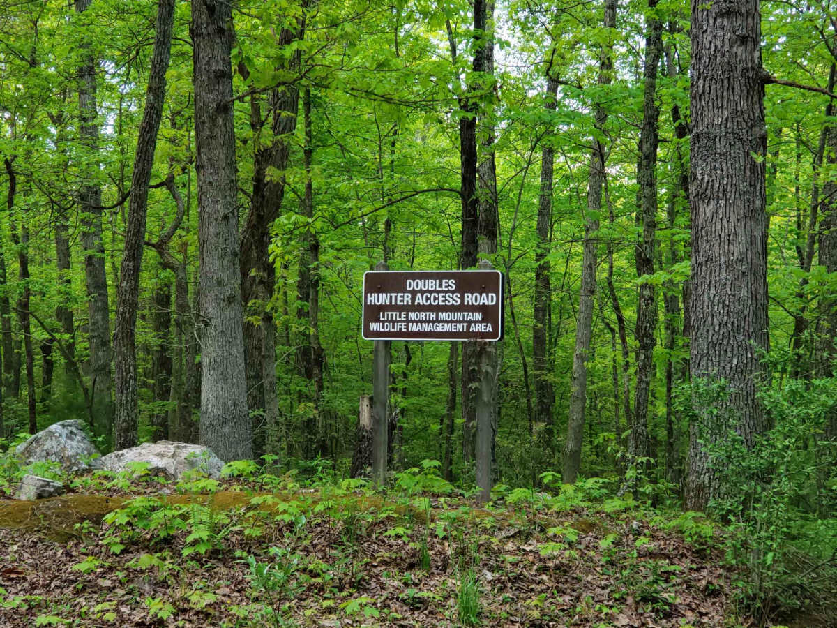 Little North Mountain WMA photo 2