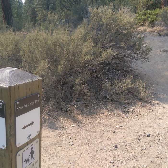 Near Shevlin Loop Trail