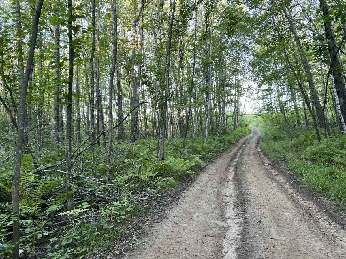 Forest County ATV/SXS 8 Mile Loop Trail 1 trail photo