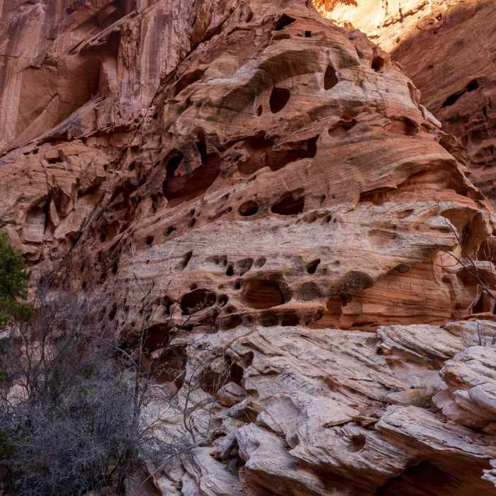 Near Lower Spring Canyon