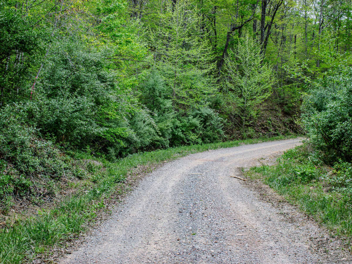 Red Oak Mountain Road photo 4