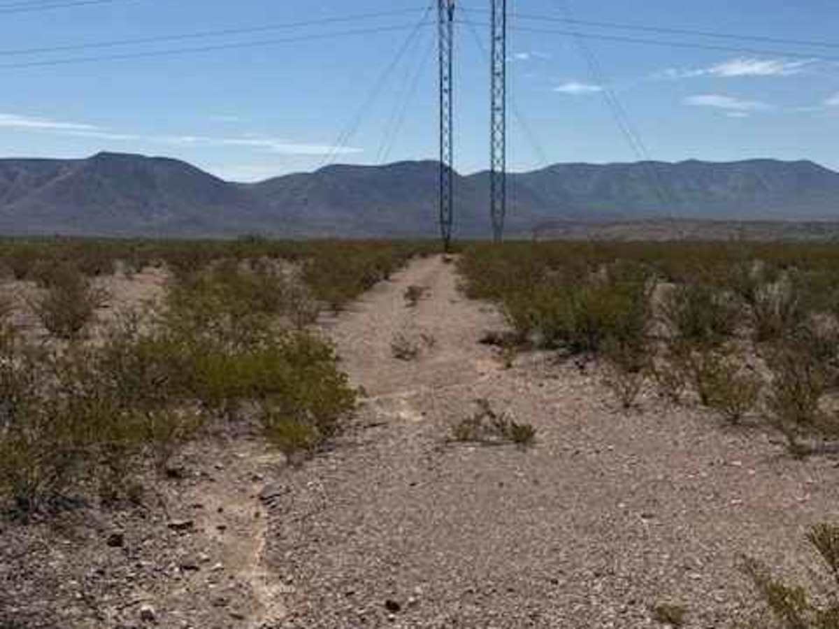 BLM SS1046B photo 4