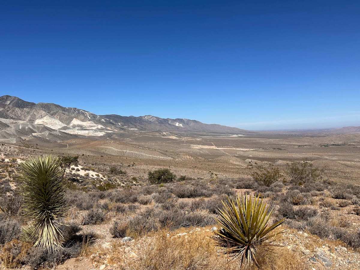 Cougar Draw trail photo