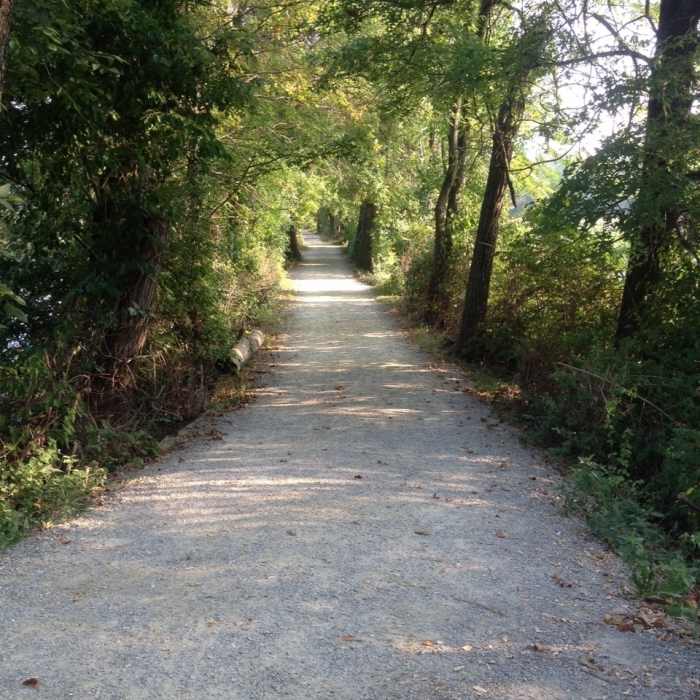Towpath trail starting from the south parking lot. Near Towpath Trail