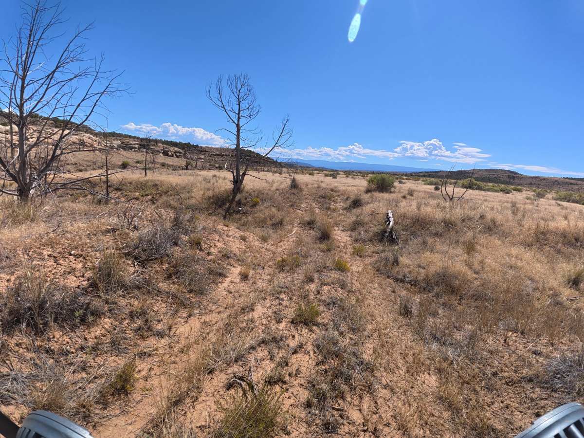 BLM 286B photo 3