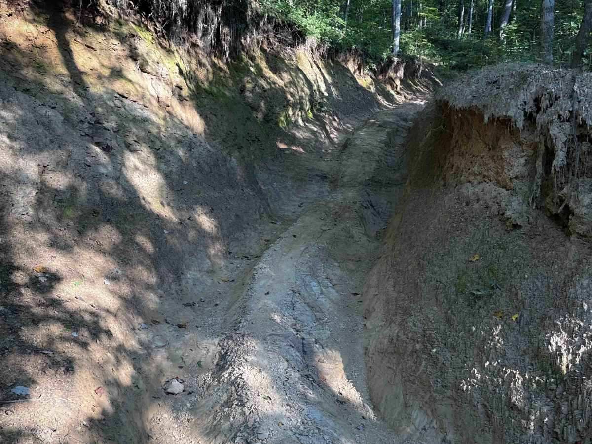 Ivydell Trail trail photo