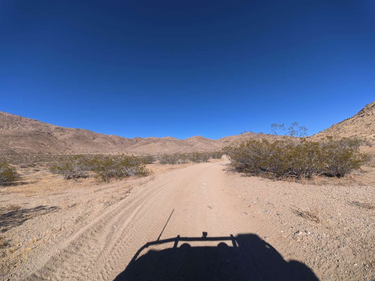 BLM SV2636 photo 6
